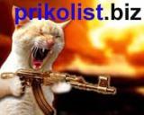 —лав¤нский портал приколов и юмора на prikolist.biz. —тихи, фото, анекдот